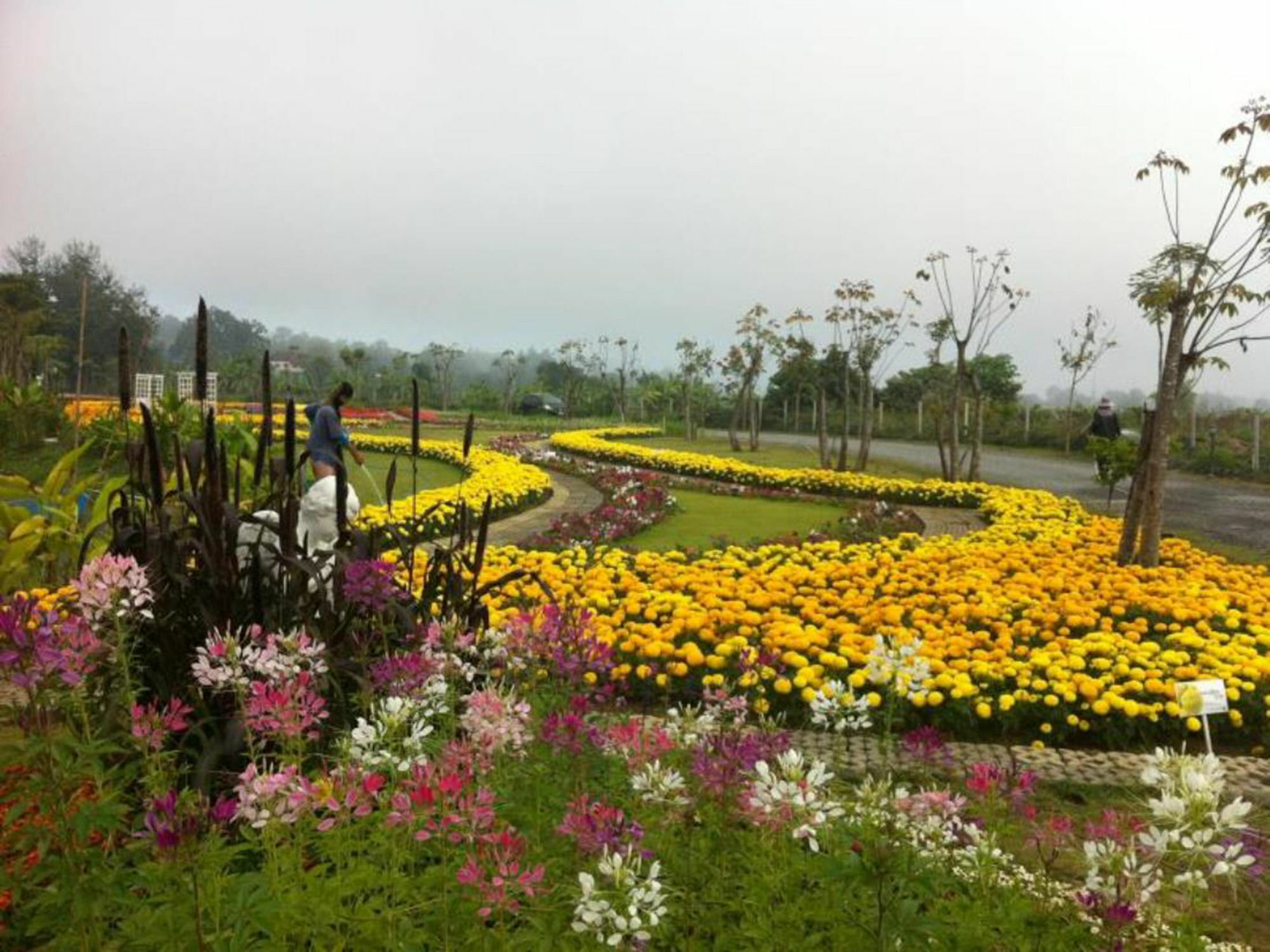 Baan Kung Kang De Пай Экстерьер фото